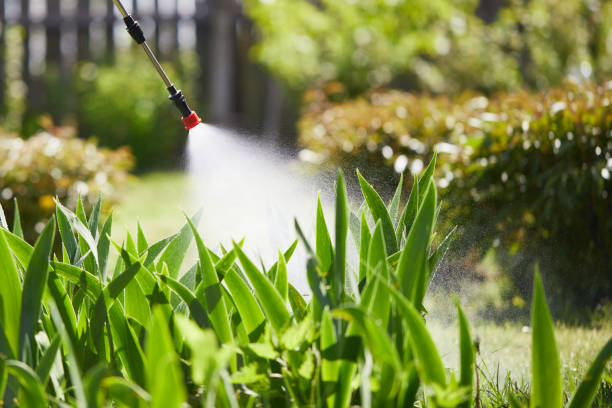 Tamper-Resistant Bait Stations for Rodents in Lawtey