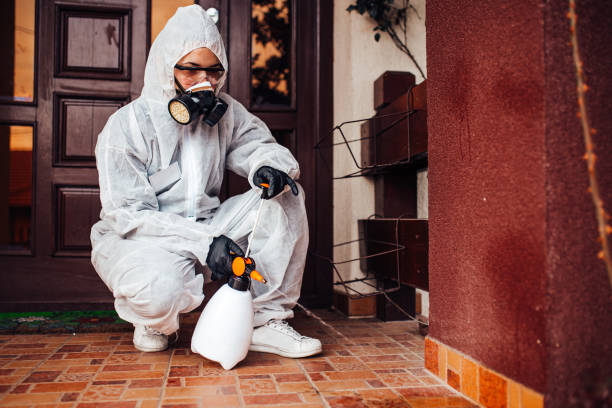 Attic and Crawl Space Rodent Treatment in Lawtey